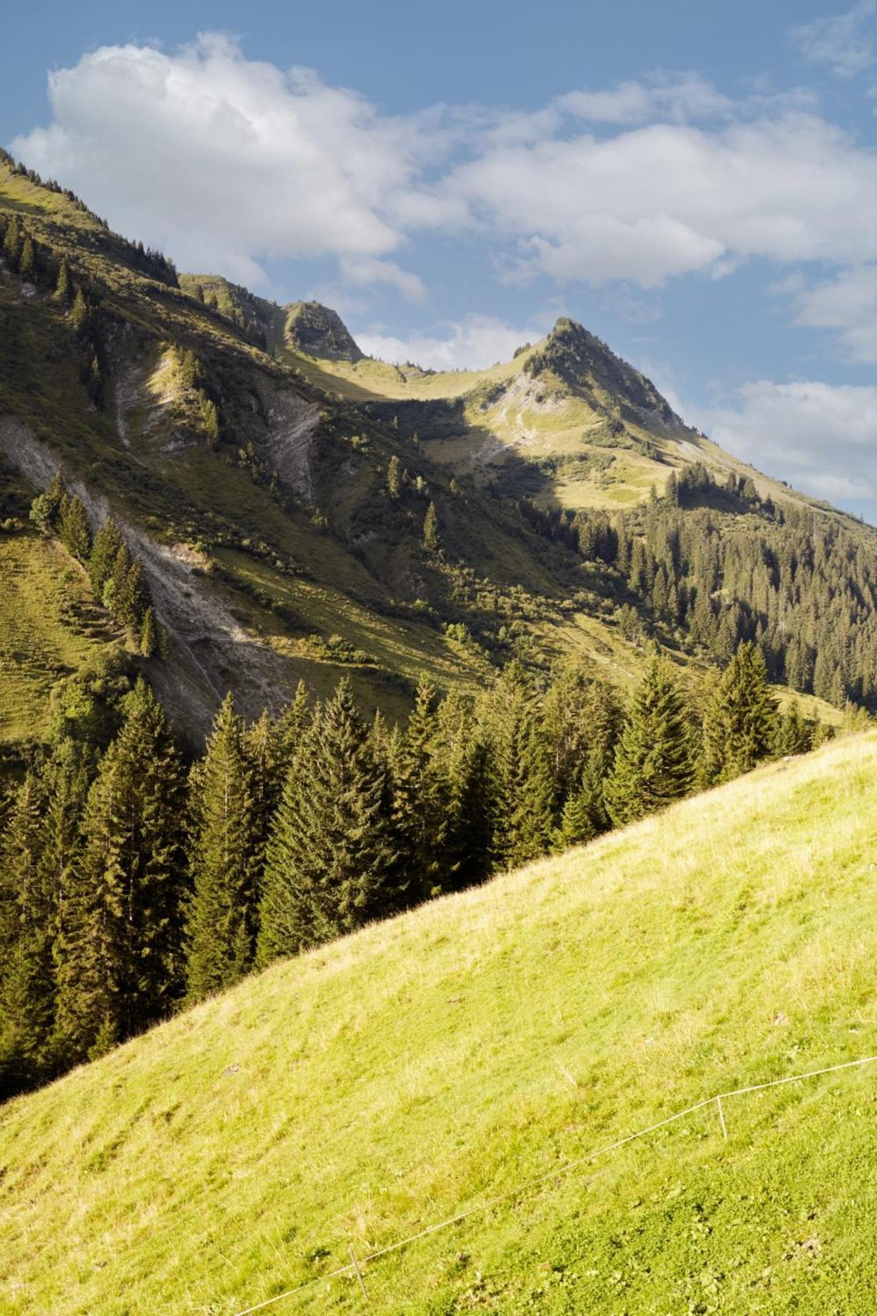 Alpenstolz Damuels Haus 4 - Stilvoll Urlauben In Den Bergen Damüls Exterior foto